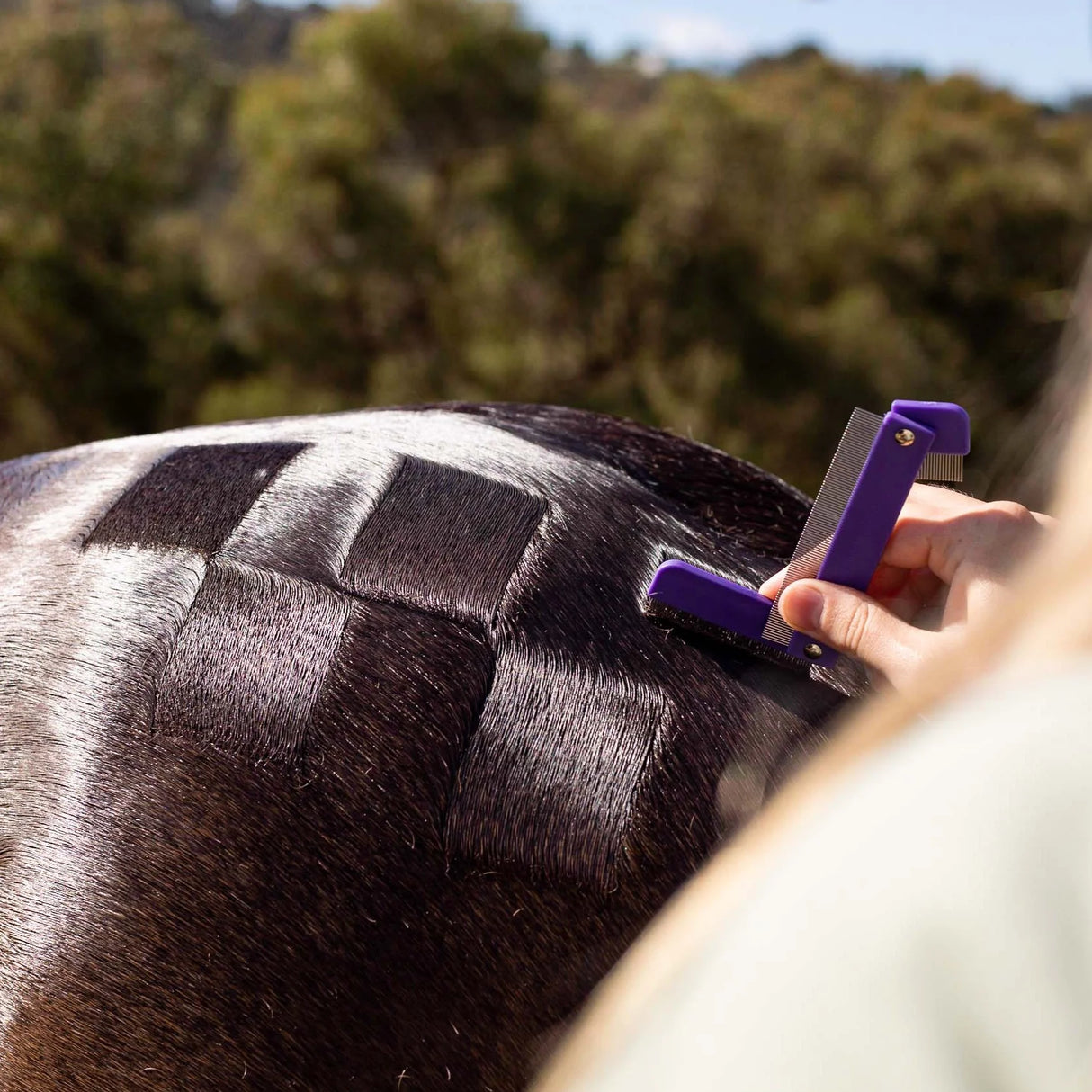 Hairy Pony Quarter Mark Comb