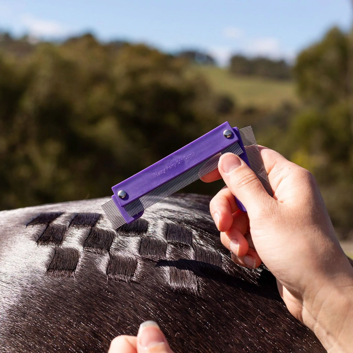 Hairy Pony Quarter Mark Comb