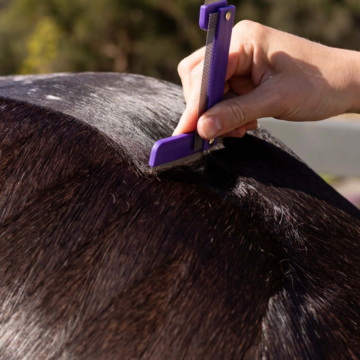 Hairy Pony Quarter Mark Comb