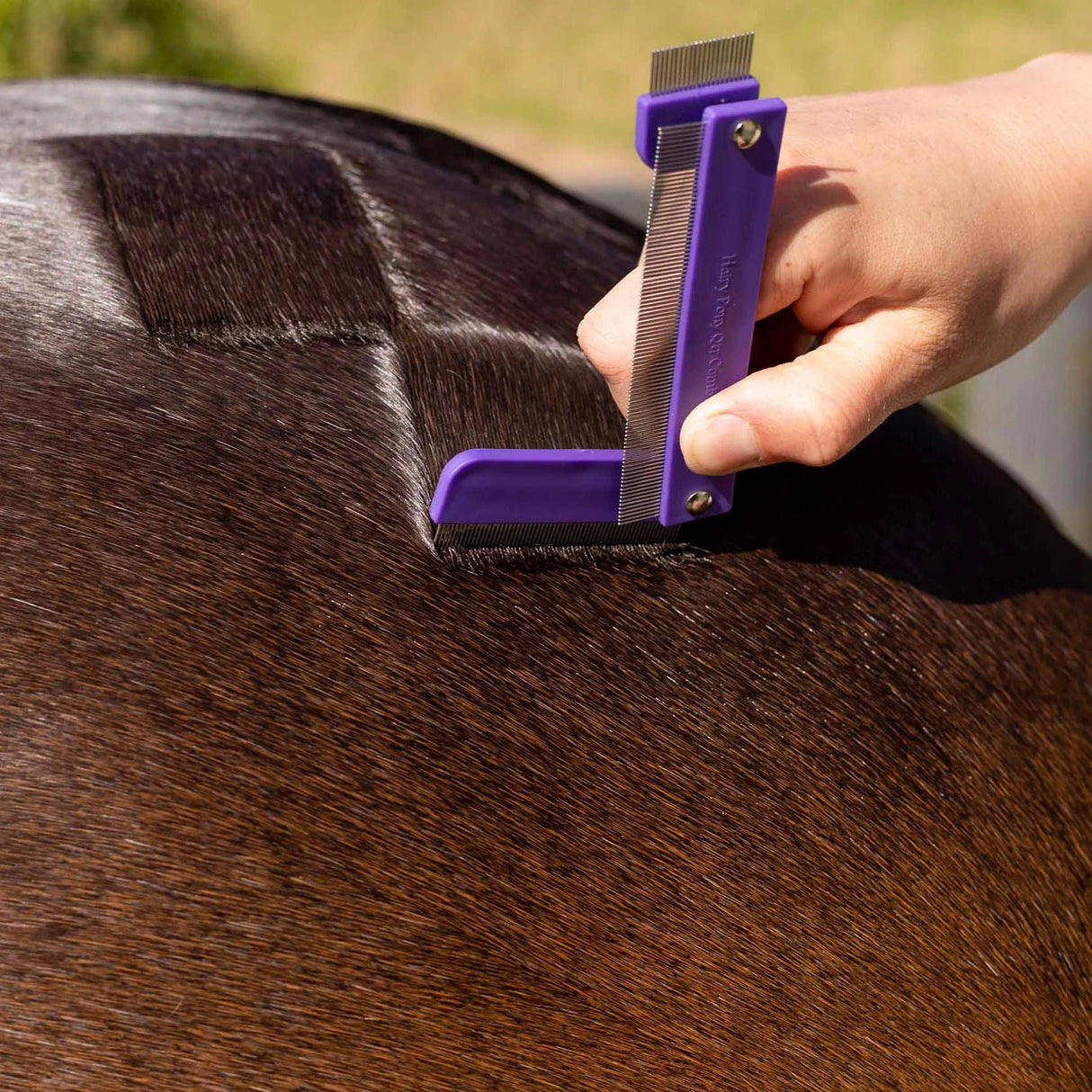 Hairy Pony Quarter Mark Comb