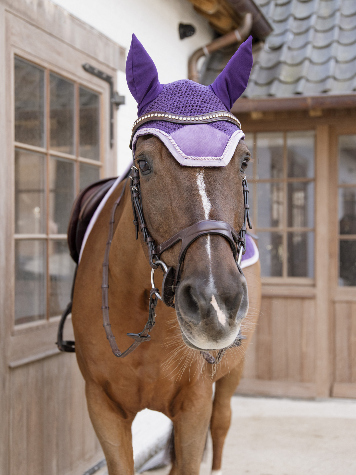 Kentucky Velvet Contrast Ear Bonnet Royal Purple