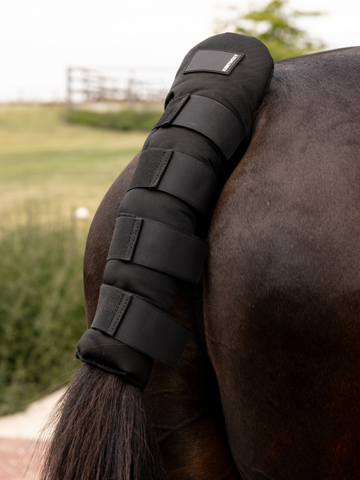 Kentucky Tail Guard Pro