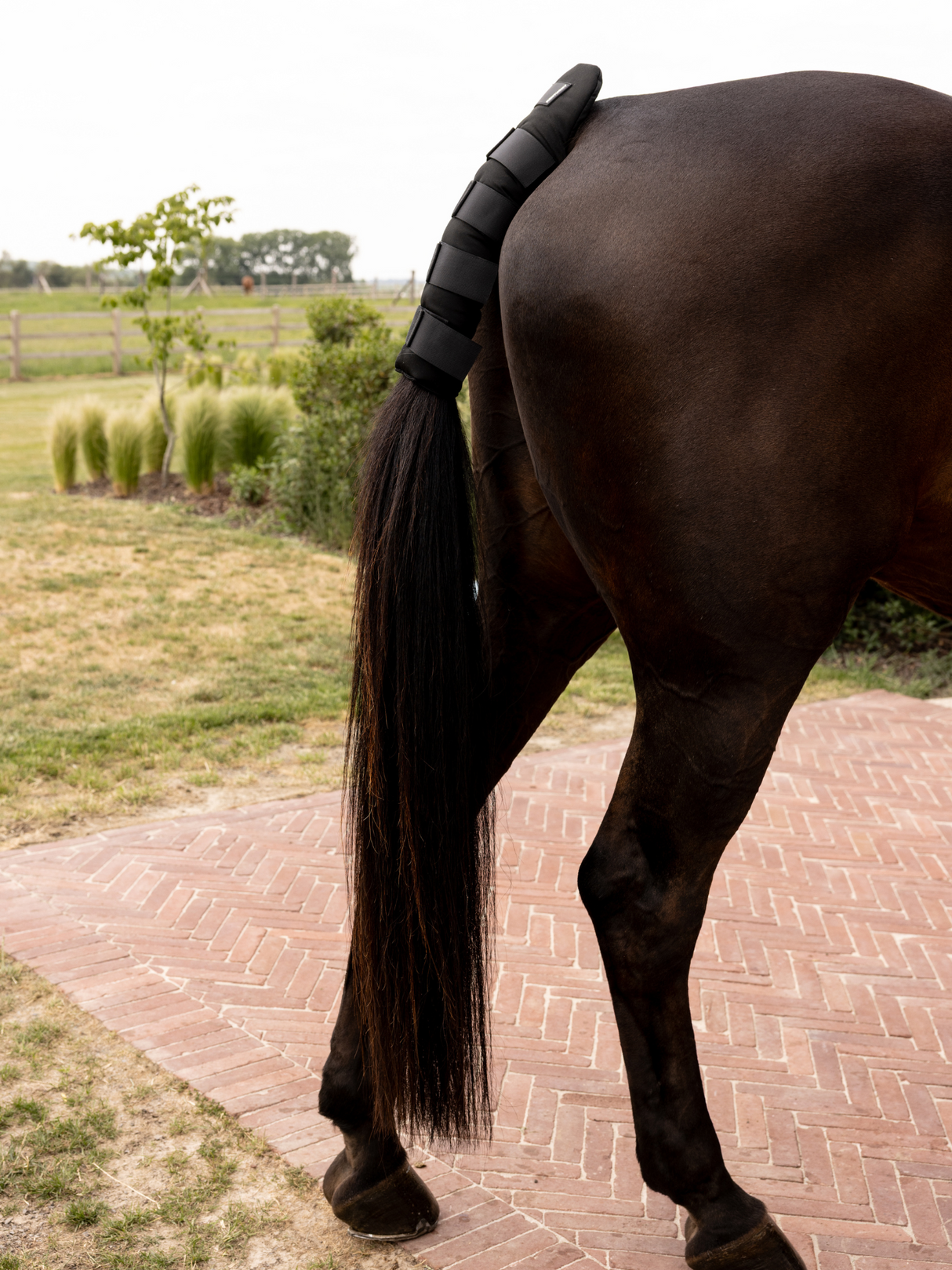 Kentucky Tail Guard Pro