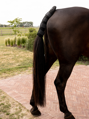 Kentucky Tail Guard Pro