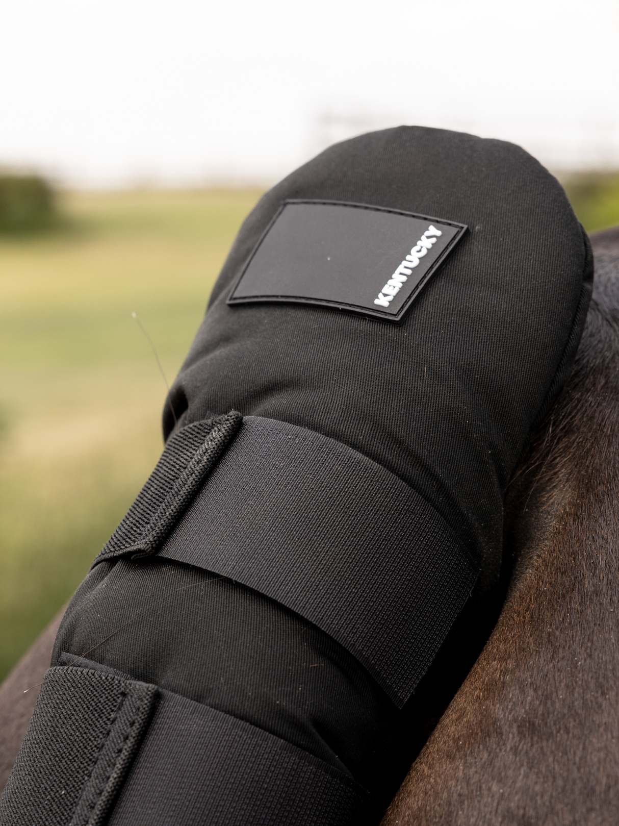 Kentucky Tail Guard Pro
