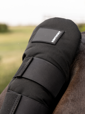 Kentucky Tail Guard Pro