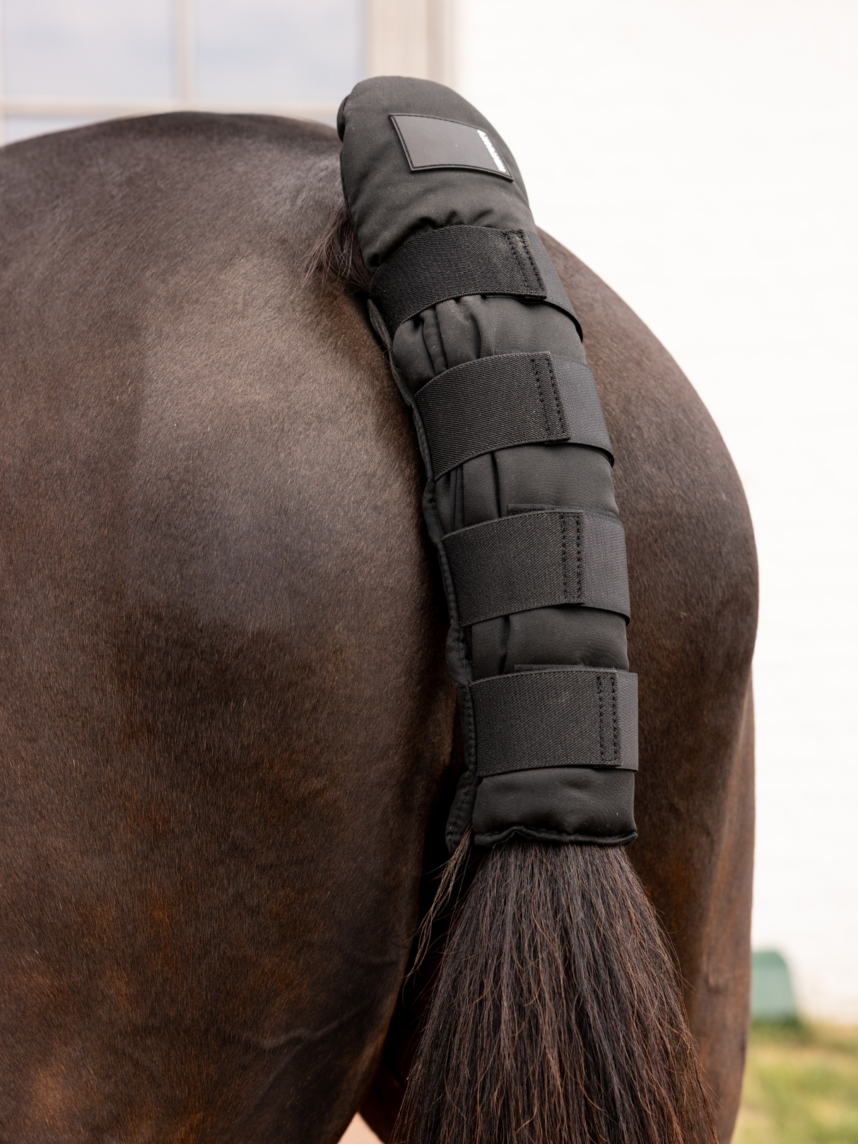 Kentucky Tail Guard Pro