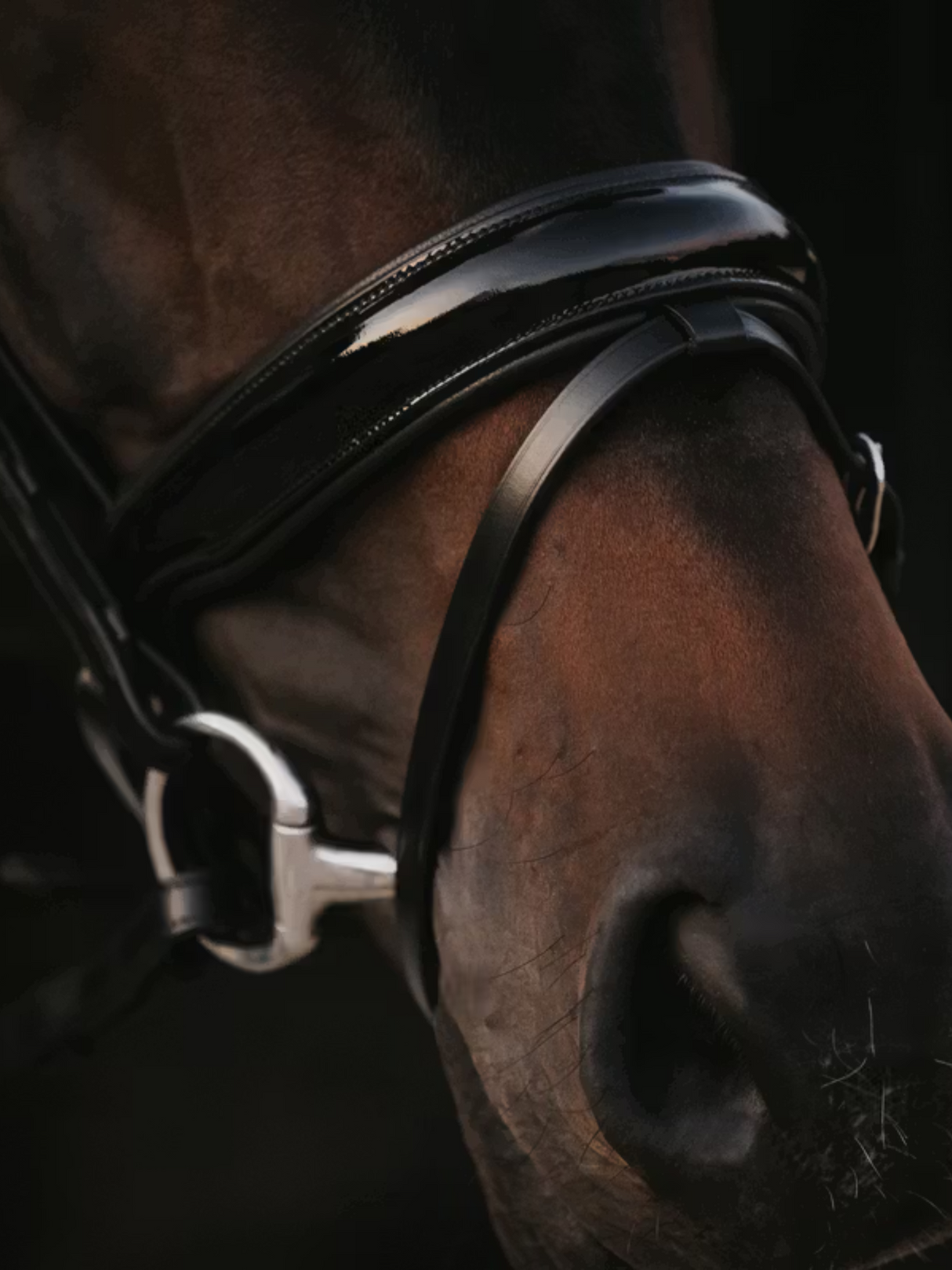 Dy'on Patent Large Crank Noseband Bridle With Flash