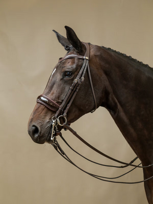 Dy'on Patent Large Crank Noseband Double Bridle