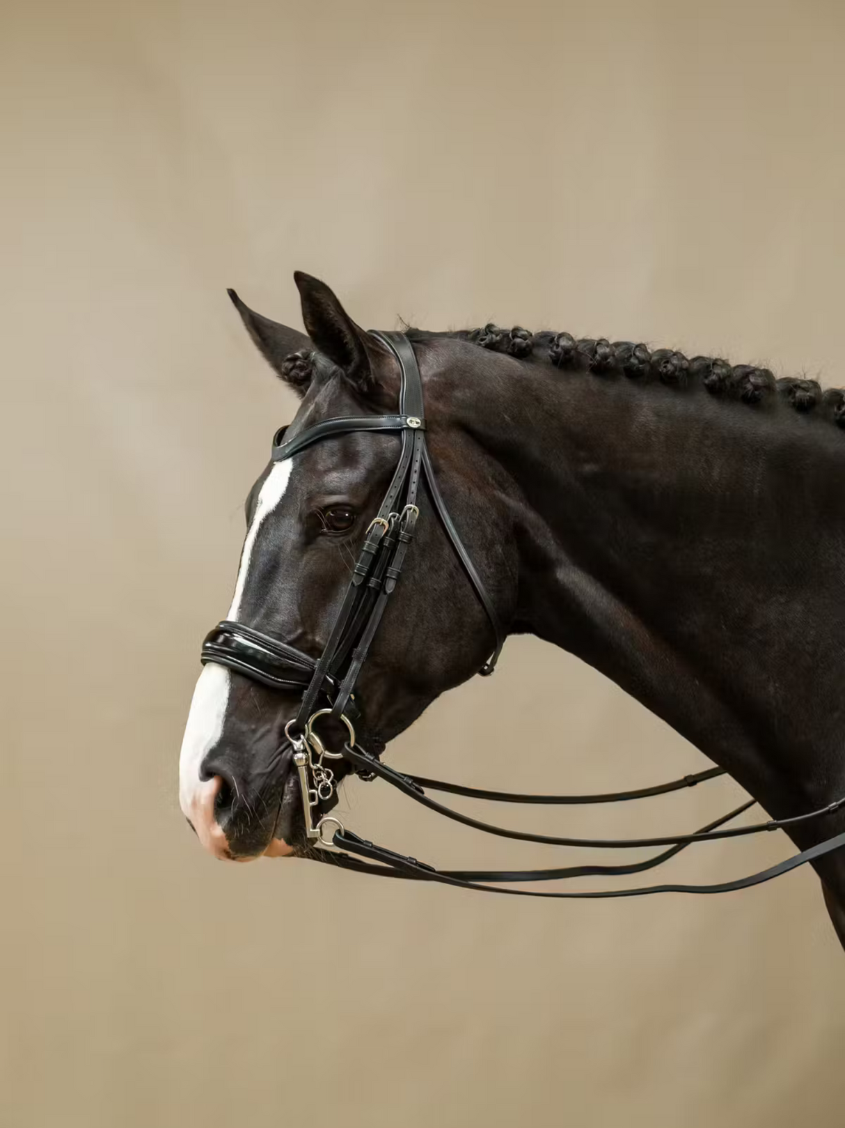 Dy'on Patent Large Crank Noseband Double Bridle