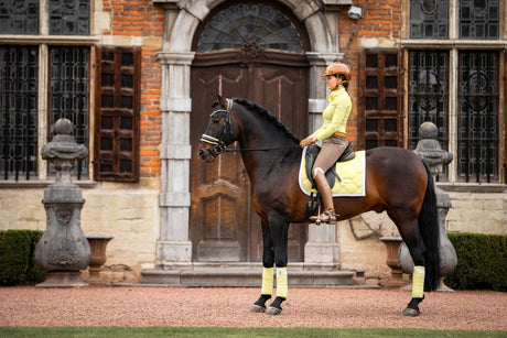 Equestrian Stockholm Dressage Saddle Pad Soft Lemon