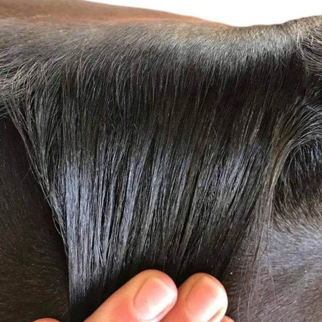 Hairy Pony Plaiting Taming Wax