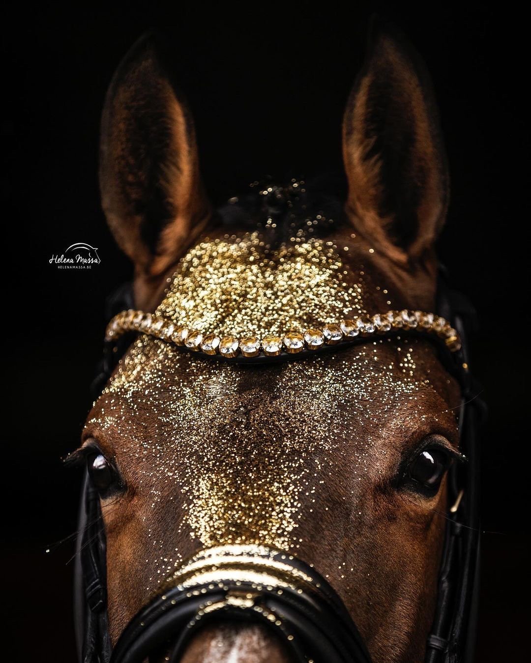 Utzon Equestrian Empire Browband Golden Shadow