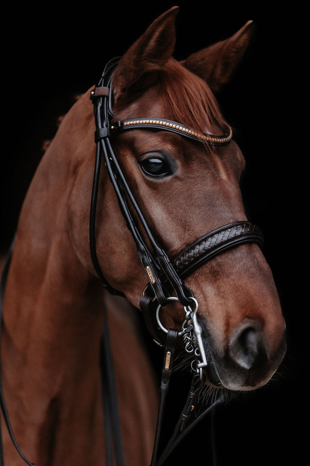 Utzon Equestrian Olympic Double Bridle