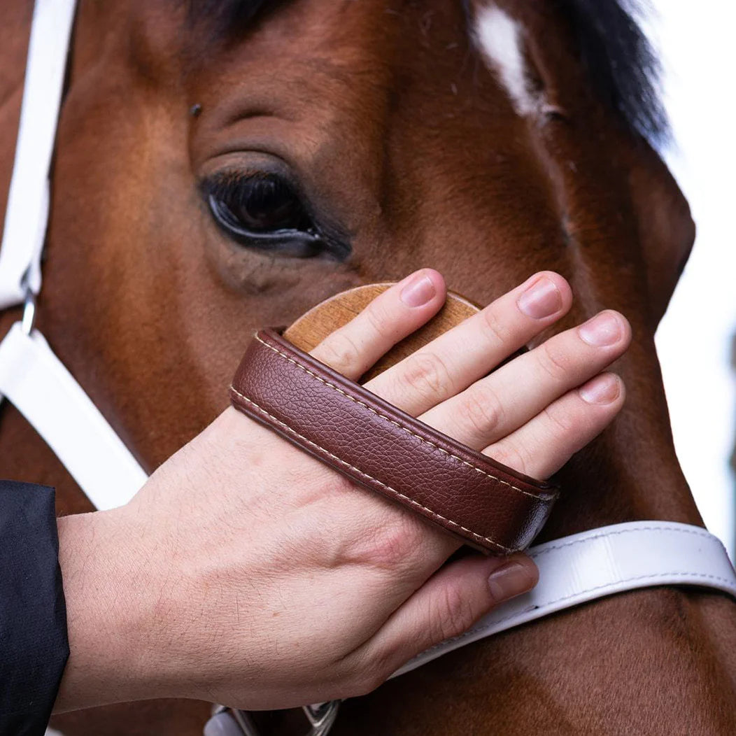 Hairy Pony Face Brush