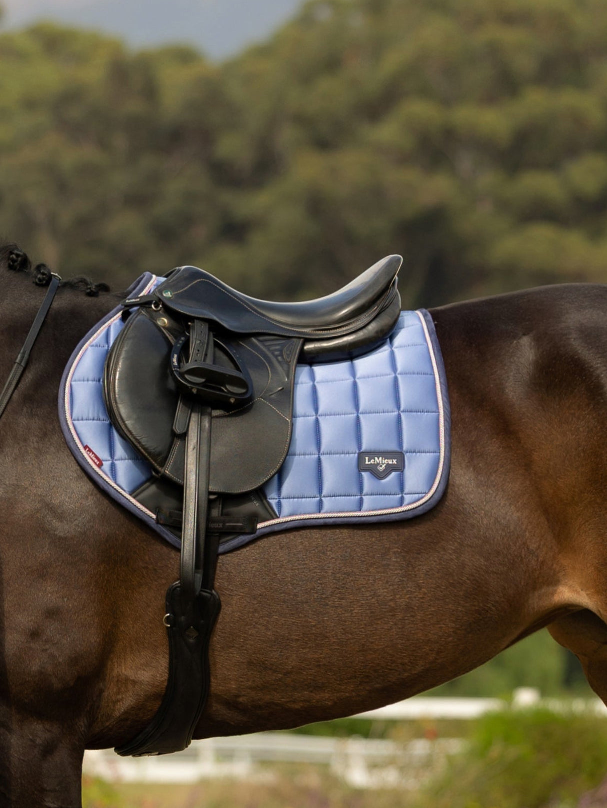 LeMieux Loire Close Contact Jump Saddle Pad Powder Blue