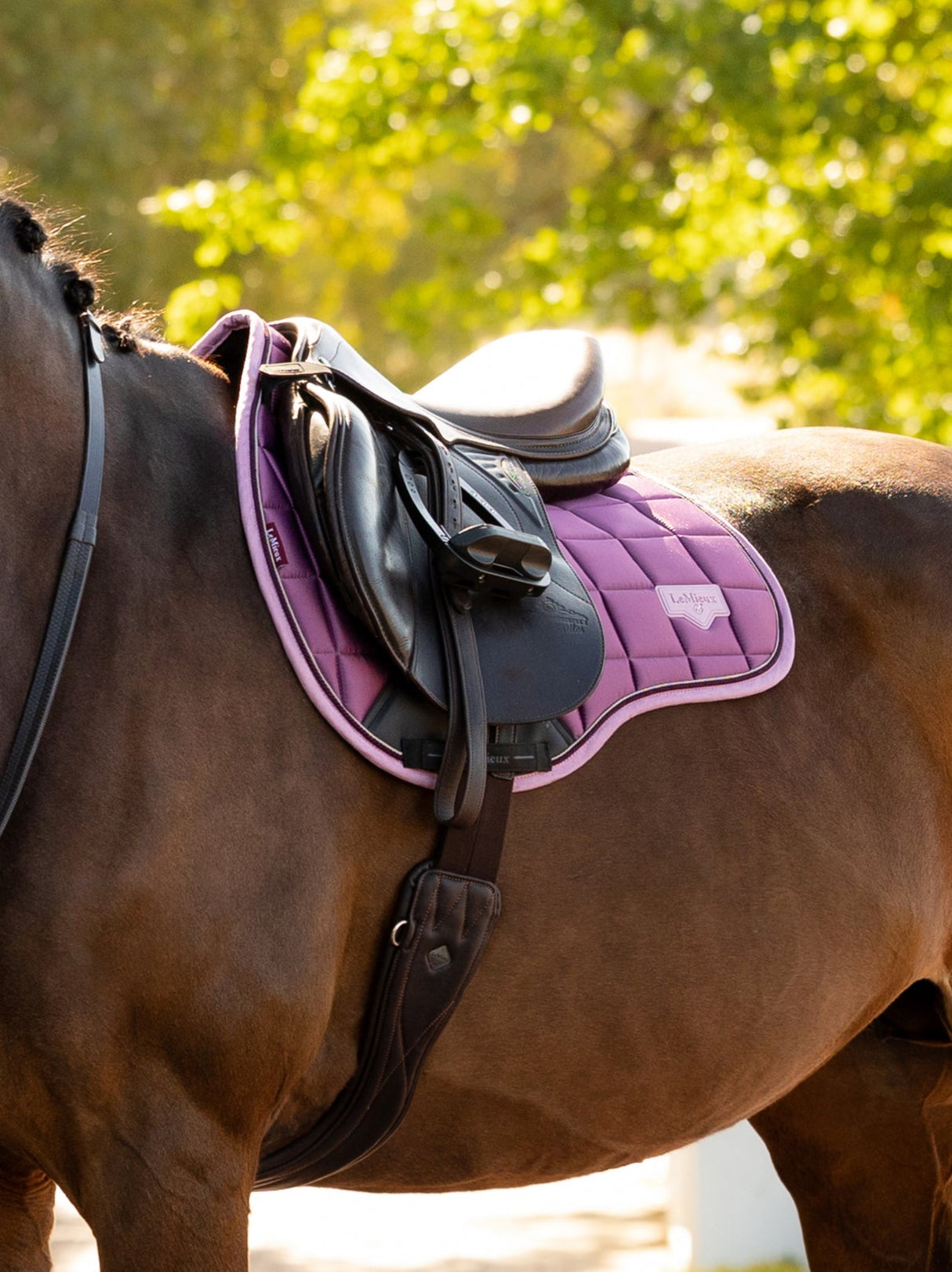 LeMieux Loire GP Saddle Pad Mallow