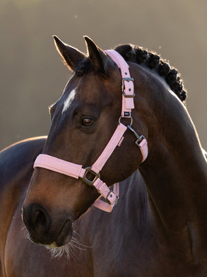 LeMieux Essence Headcollar Fondant