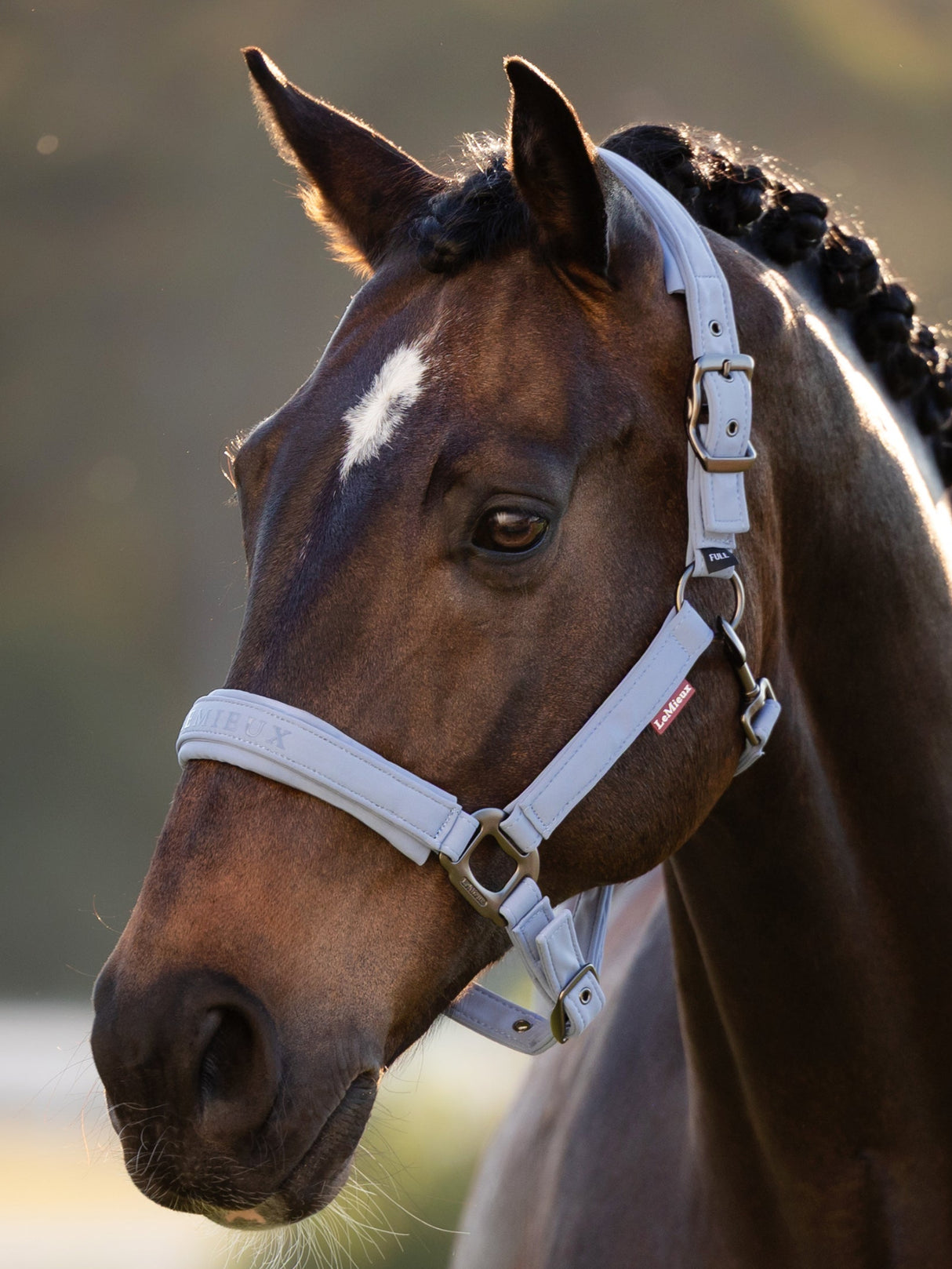 LeMieux Essence Headcollar Powder Blue