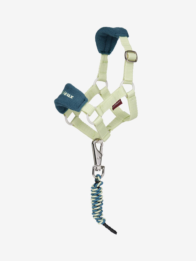 LeMieux Toy Pony Vogue Headcollar & Leadrope Macaron