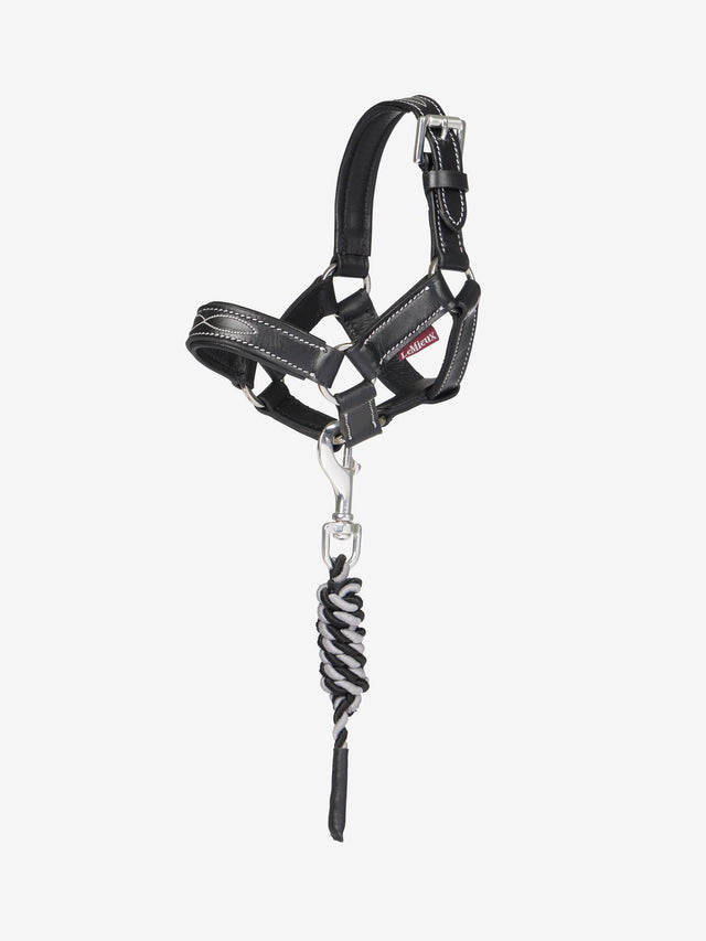 LeMieux Toy Pony Leather Headcollar & Leadrope Black