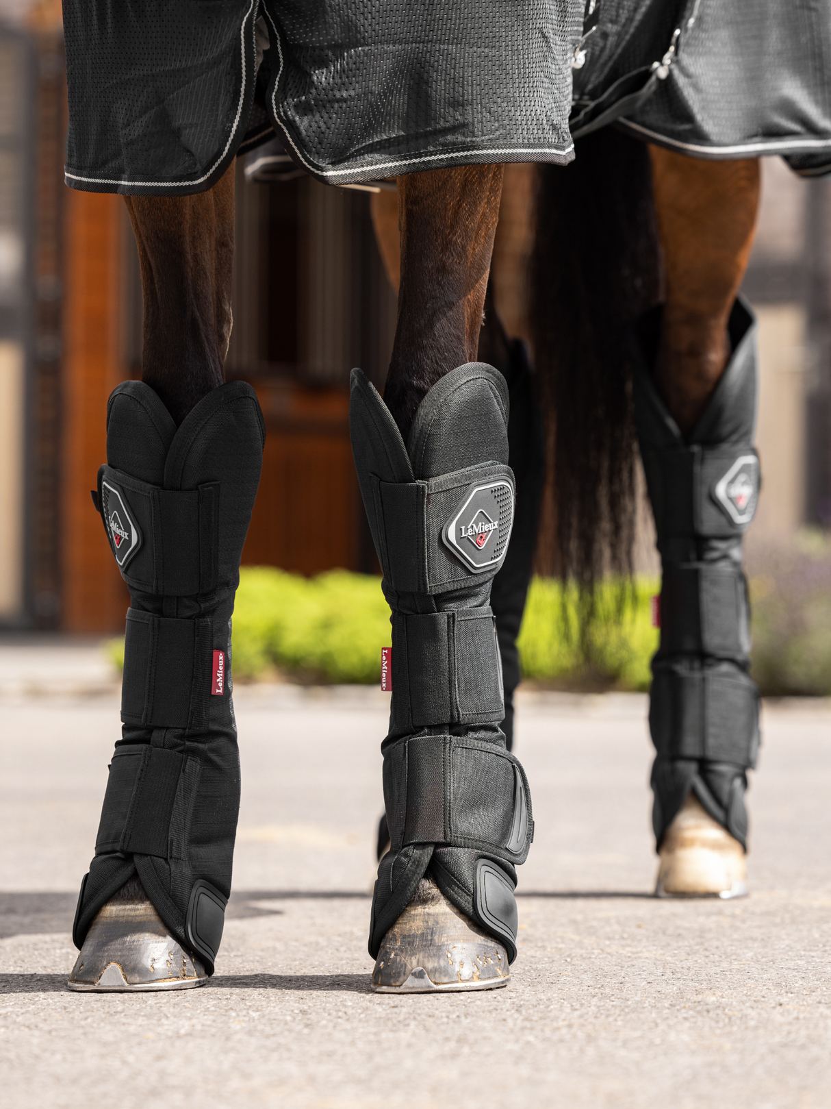 LeMieux Travel Boots Black