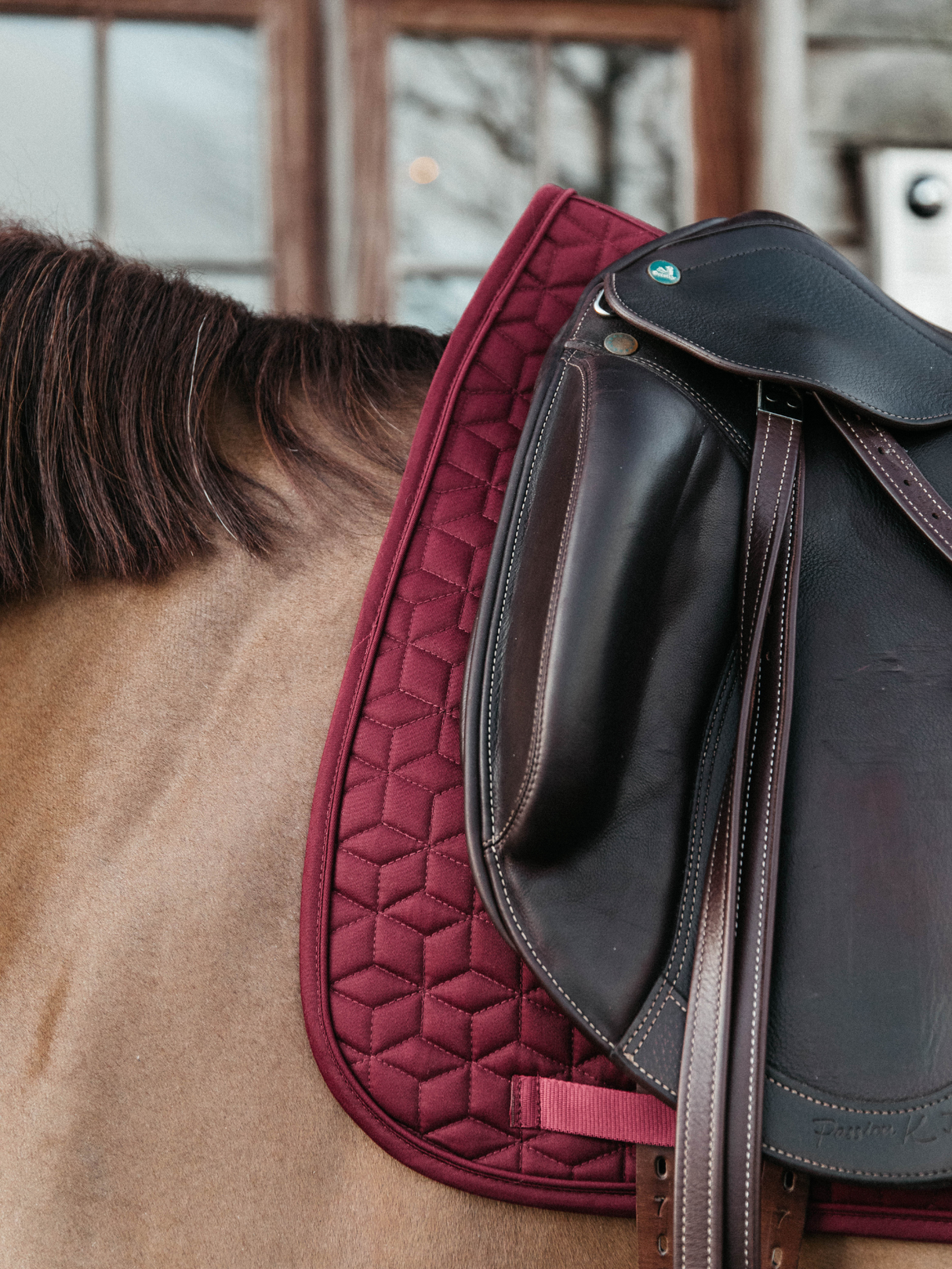 Kentucky Classic Dressage Saddle Pad Bordeaux