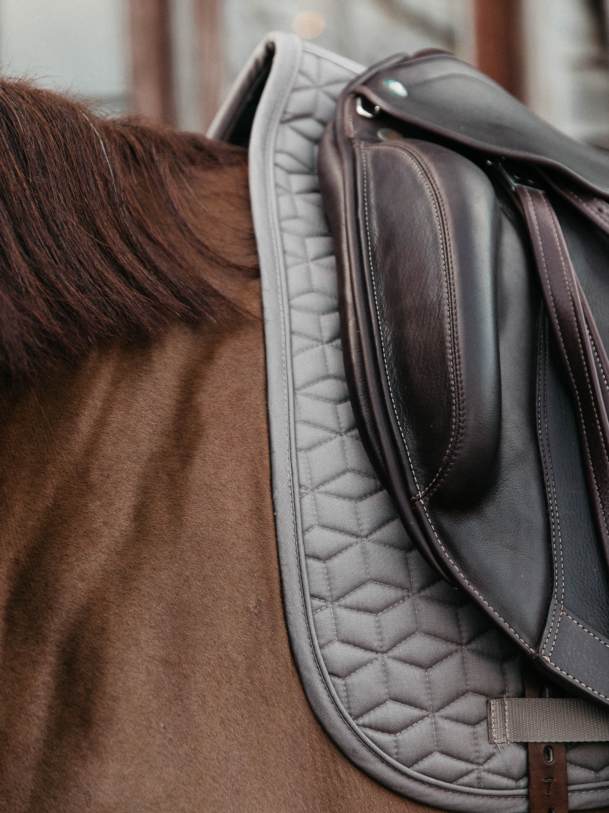 Kentucky Classic Dressage Saddle Pad Beige