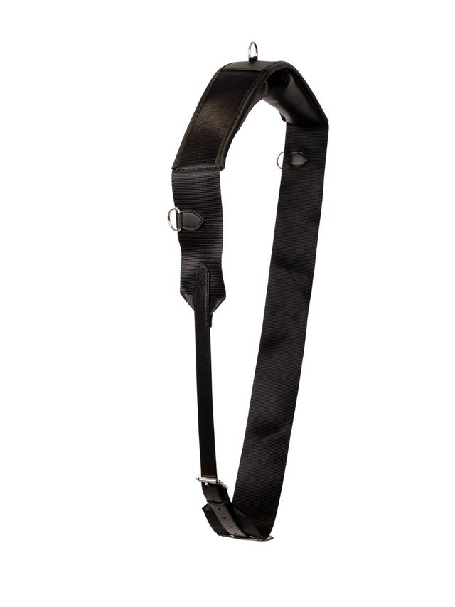 Kentucky Nylon Walker Girth