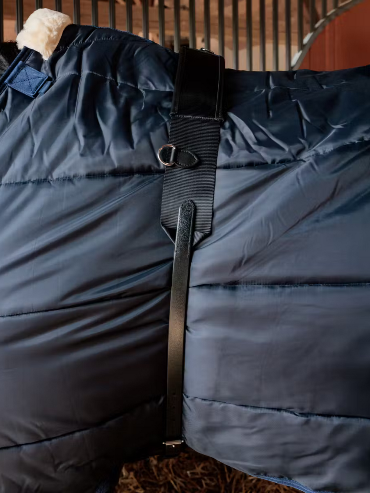 Kentucky Nylon Walker Girth