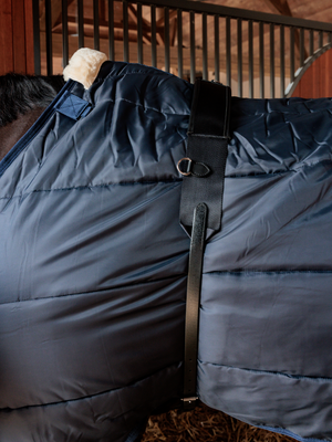 Kentucky Nylon Walker Girth