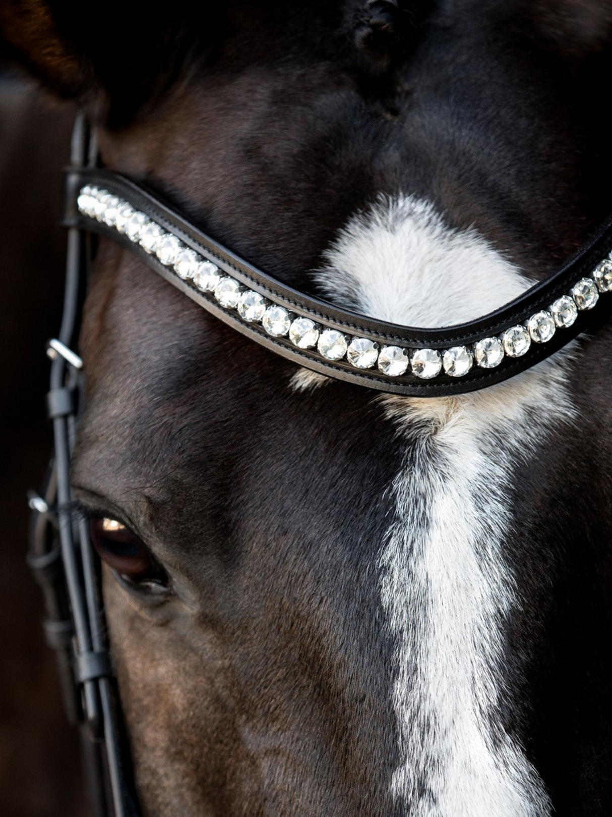 SD Design Mystery Browband Clear