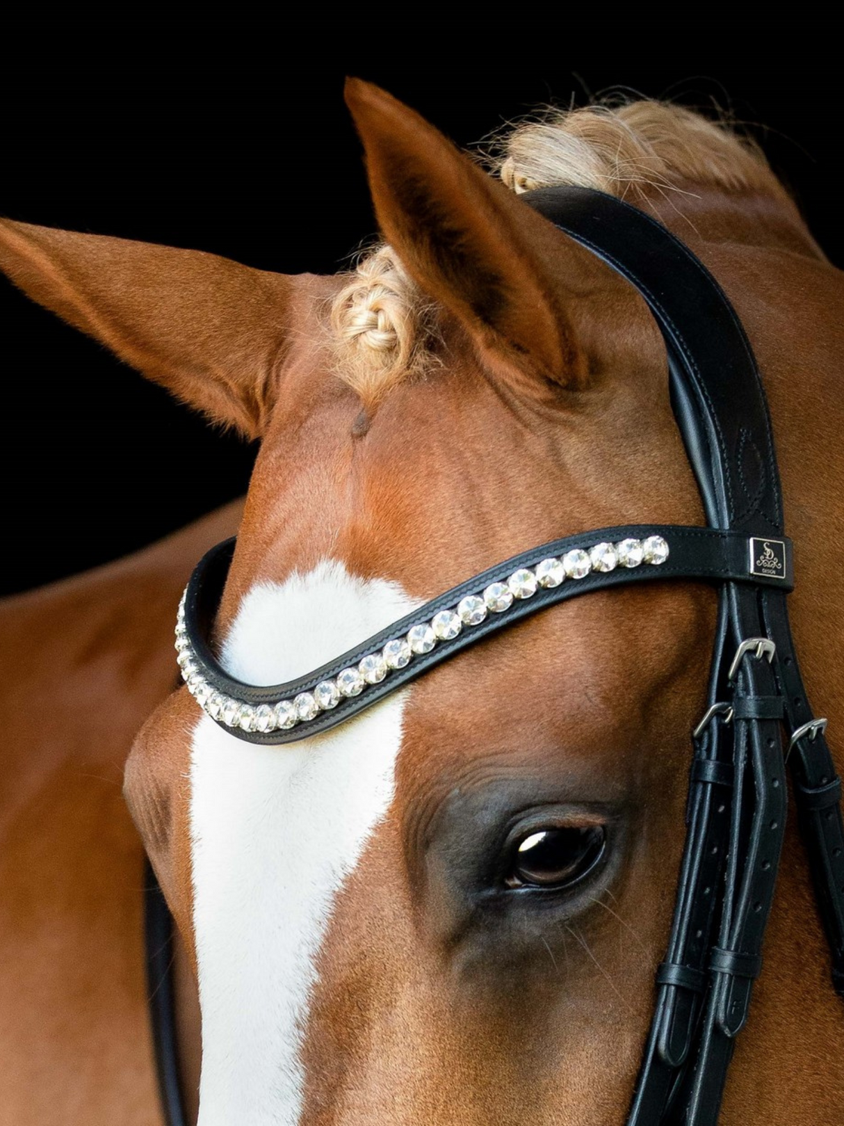 SD Design Mystery Browband Clear