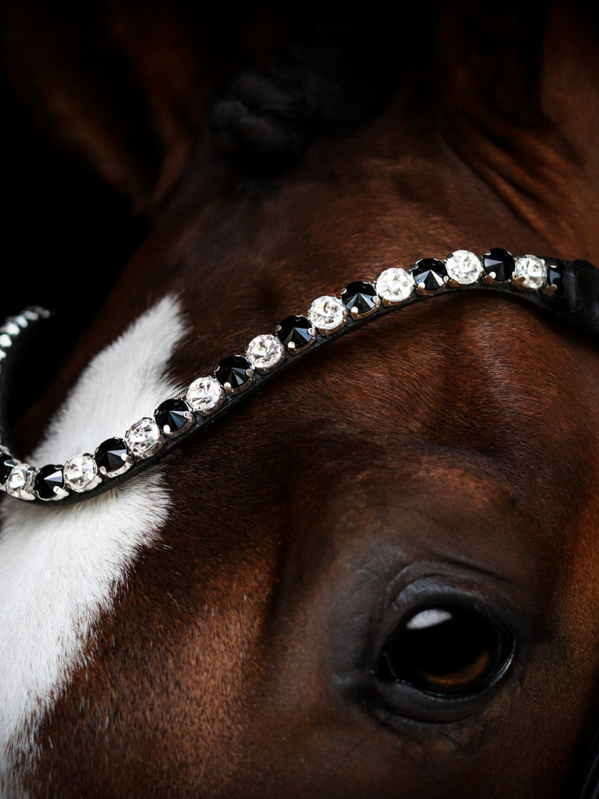 SD Design L Únique Browband Onyx