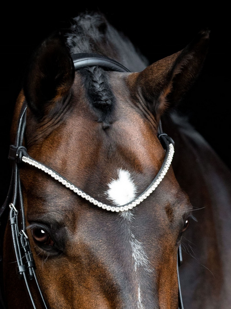 SD Design Rapsody Browband Crystal