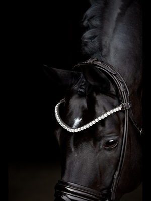 SD Design Zhivago Rolled Patent Bridle
