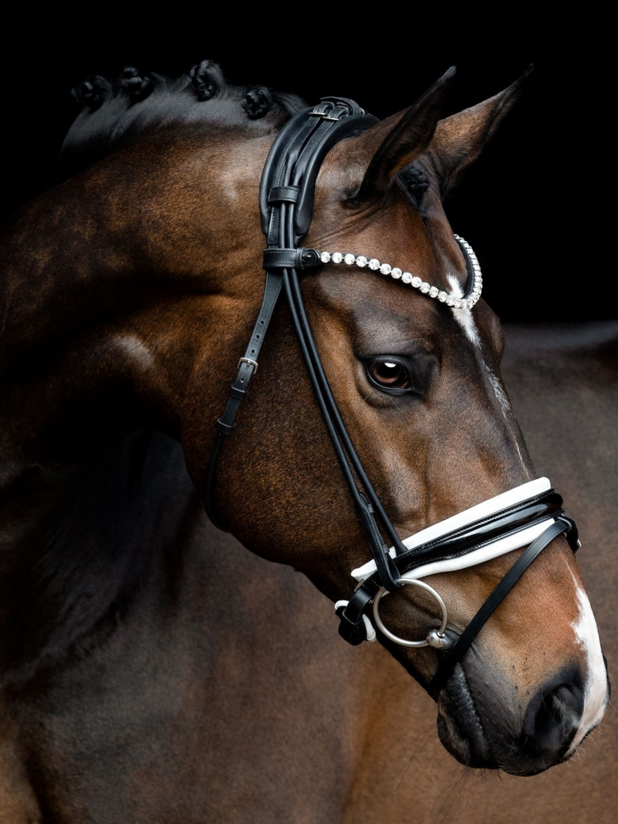 SD Design Zhivago Rolled Patent Bridle