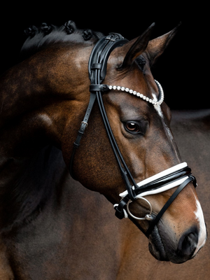 SD Design Zhivago Rolled Patent Bridle