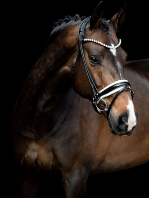 SD Design Zhivago Rolled Patent Bridle