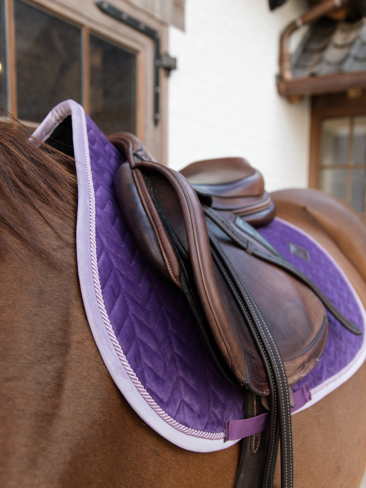 Kentucky Velvet Contrast Jump Saddle Pad Royal Purple