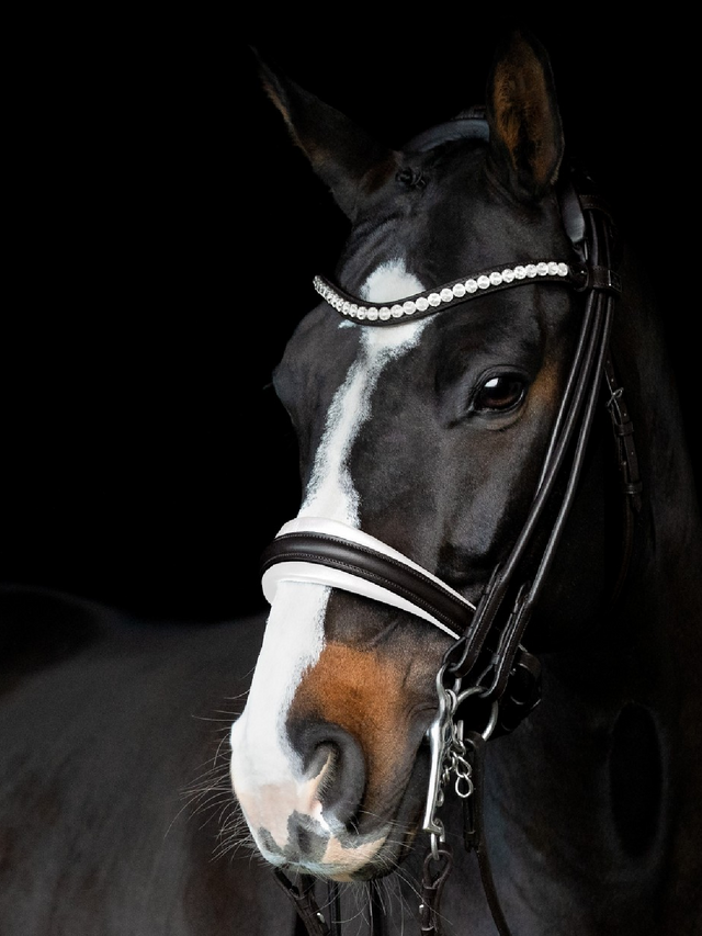 SD Design Belissimo II Rolled Double Bridle Black/White