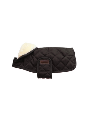 Kentucky Original Dog Coat Brown