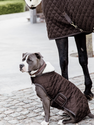 Kentucky Original Dog Coat Brown