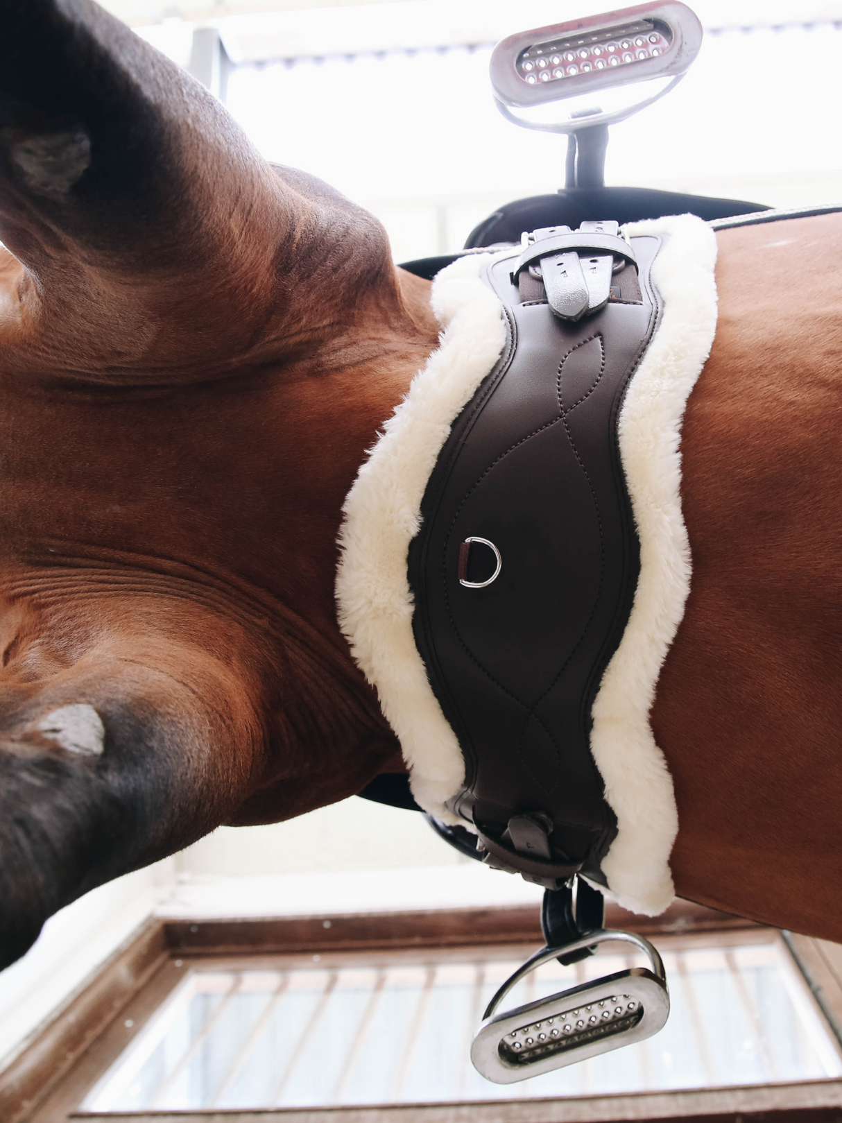 Kentucky Sheepskin Anatomic Short Girth Brown