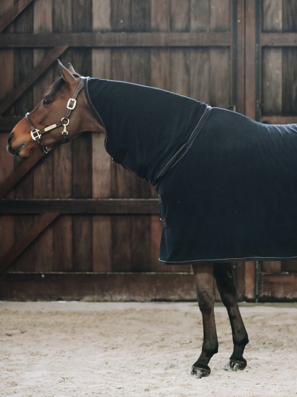 Kentucky Dry Towel Rug Black