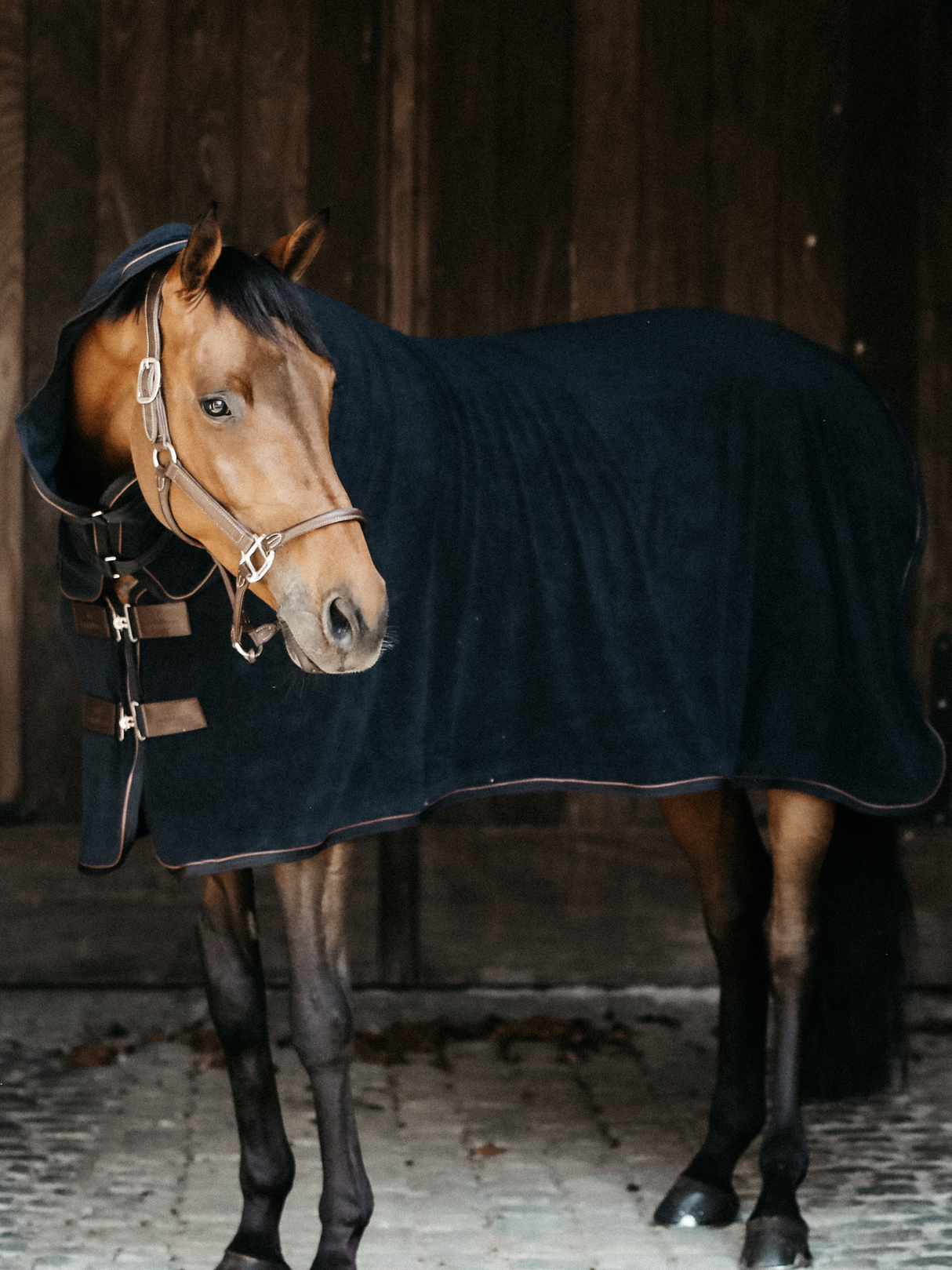 Kentucky Dry Towel Rug Black