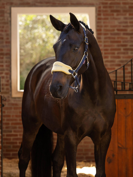 LeMieux Vogue Headcollar & Leadrope Mimosa