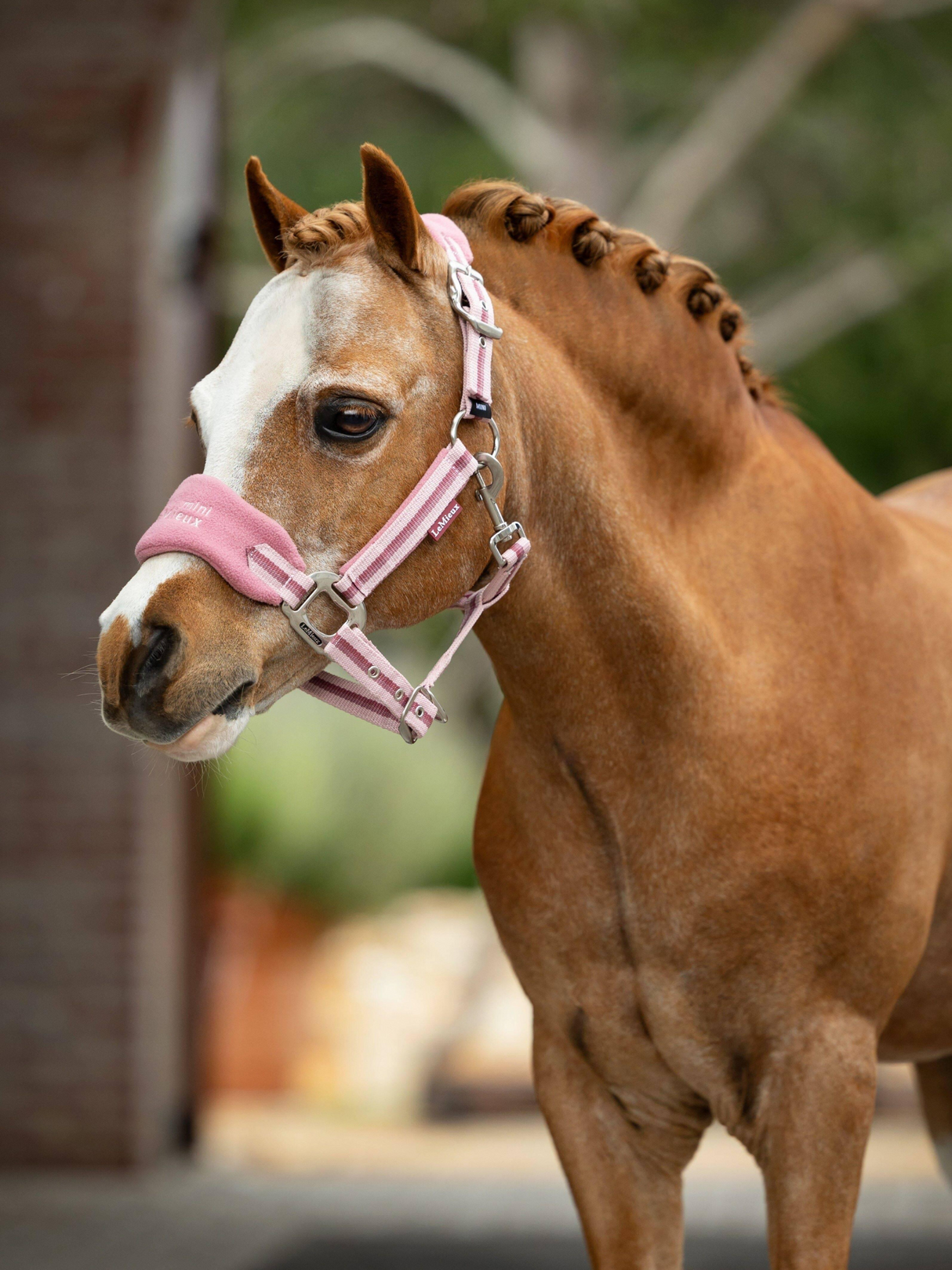 LeMieux Mini Vogue Headcollar & Leadrope Peony