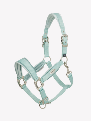 LeMieux Versailles Headcollar Aqua