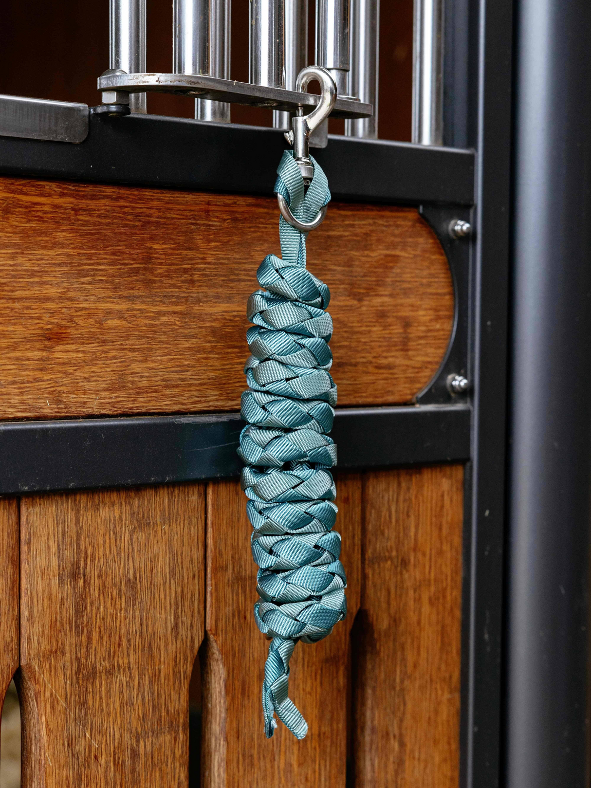 LeMieux Harlequin Leadrope Aqua